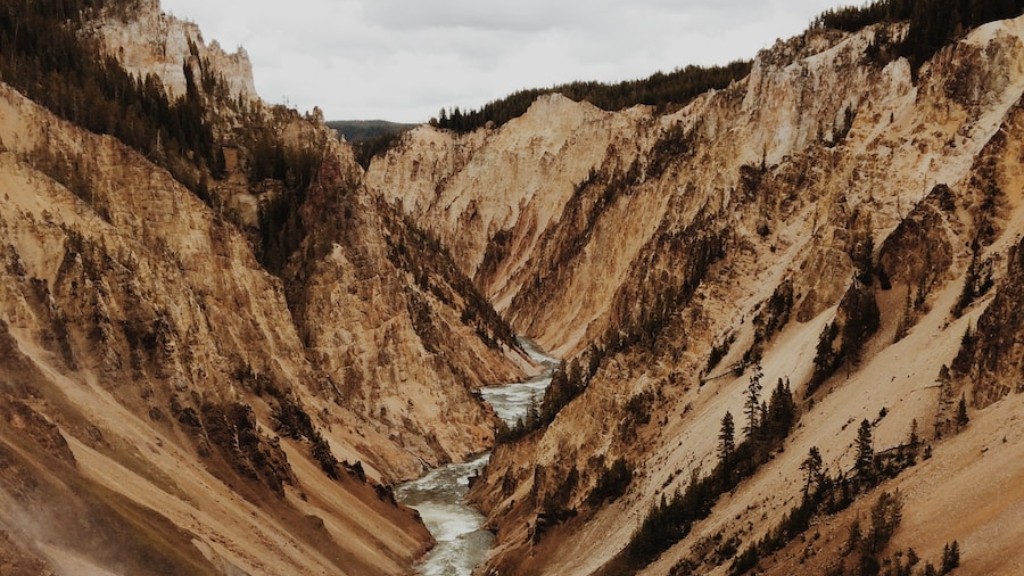 Welches Ökosystem ist der Yellowstone-Nationalpark?